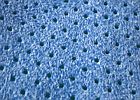 Искусственная замша перфорированная голубая 40х55, 300gsm(коробка 300шт)