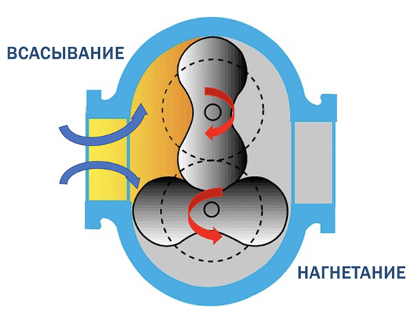 Принцип действия насоса Рутса