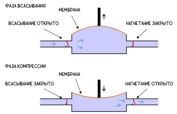 Принцип работы мембранного насоса Принцип работы мембранного насоса