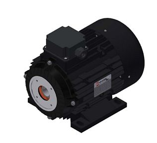 Электродвигатель 4 кВт полый вал 24 мм 230/400 В - 50 Гц, 100 T4 B3 BS AC
