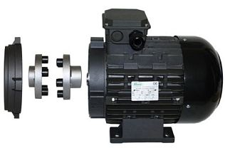 Двигатель 5,5 кВт, 380B H112 полый вал d 24 мм с эластичной муфтой, RVJ