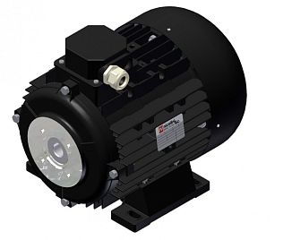 Электродвигатель 7,5 кВт полый вал 24 мм 230/400 В - 50 Гц, 132S T4 B3 BS AC 24 