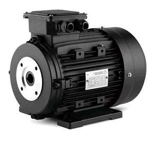 Двигатель 3 кВт 220B, HSL100L3-4 4HP полый вал d24мм, фланец насоса 75 мм
