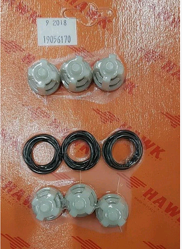 Комплект клапанов насоса NHD