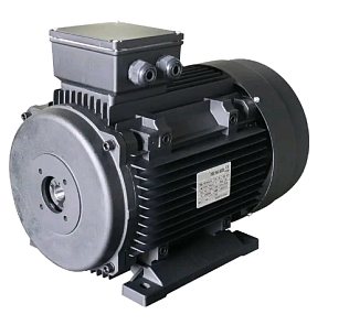 Двигатель 15 кВт 380B,HS160M1-4S полый вал d 30мм фланец насоса 87 мм