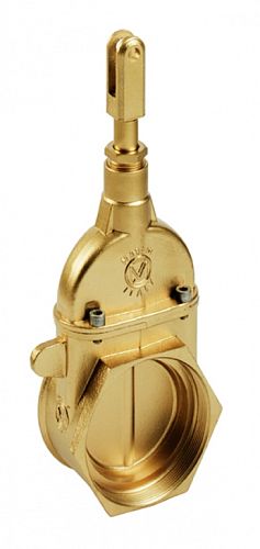 Задвижка плунжерная на вакуумную бочку, 5", резьба NPT